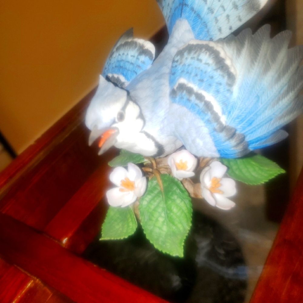 Lenox bird